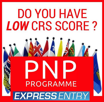 Canada Immigration Consultants in Chandigarh